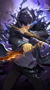 Solo Leveling Arise Wallpaper 4