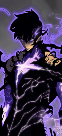 Solo Leveling Arise Wallpaper 2