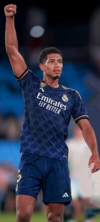 Bellingham Wallpaper 5