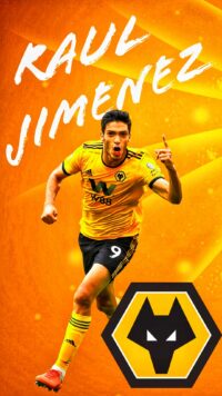 Raul Jimenez Wallpaper 9