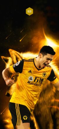 Raul Jimenez Wallpaper 3
