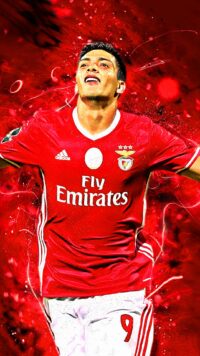 Raul Jimenez Wallpaper 1