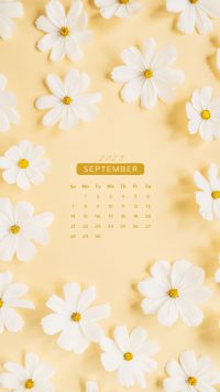 September 2025 Wallpaper 4