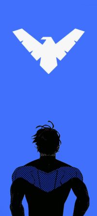 Nightwing Wallpaper 4