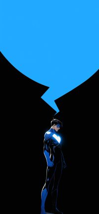 Nightwing Wallpaper 10