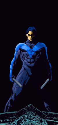 Nightwing Wallpaper 8