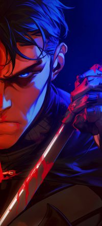 Nightwing Wallpaper 2