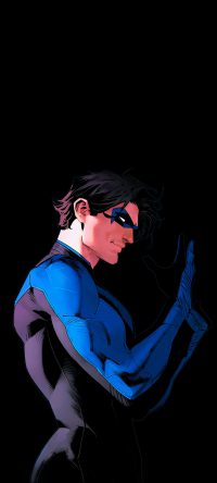 Nightwing Wallpaper 1
