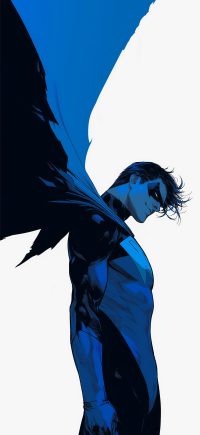 Nightwing Wallpaper 9