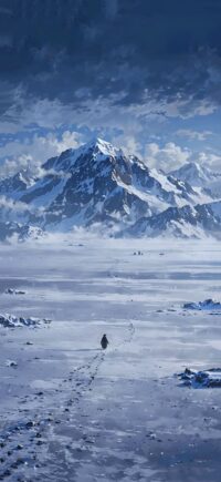 Penguin Mountain Wallpaper 11