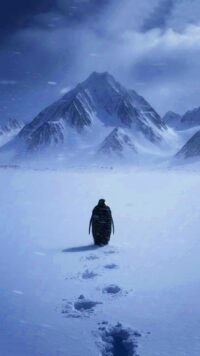 Viral Penguin Mountain Wallpaper 4