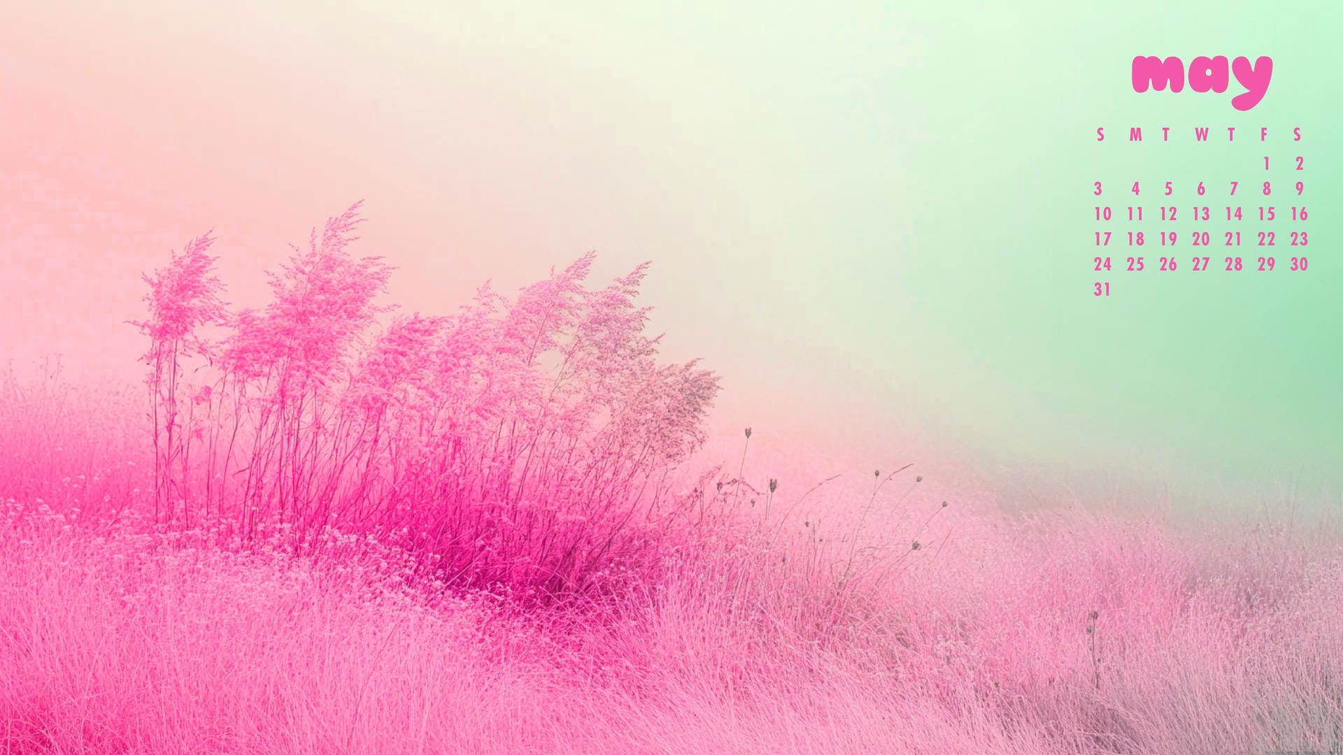 May 2026 Wallpaper 1