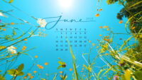 June 2026 Wallpaper 2