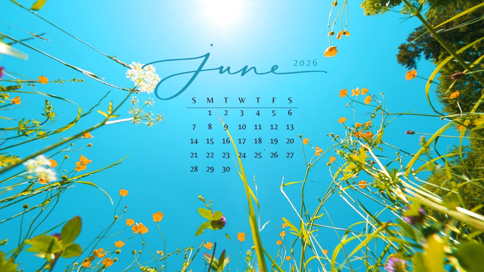 June 2026 Wallpaper 1