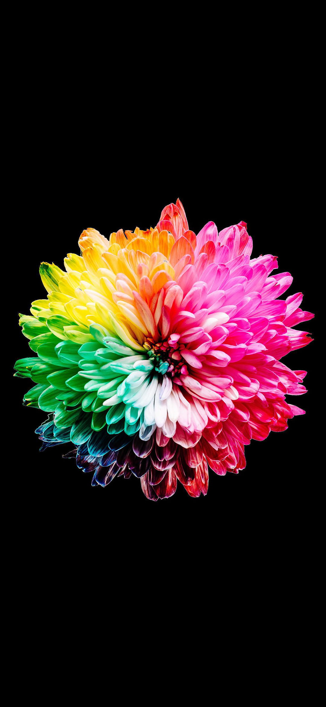 Galaxy S26 Wallpaper 1
