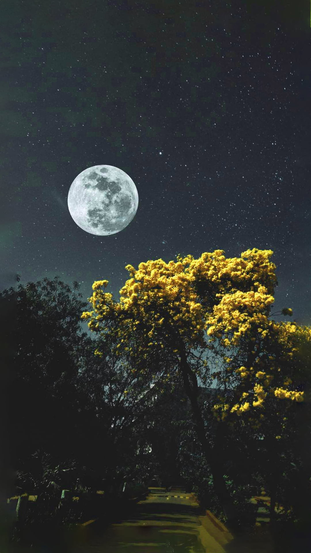Moon Wallpaper 1