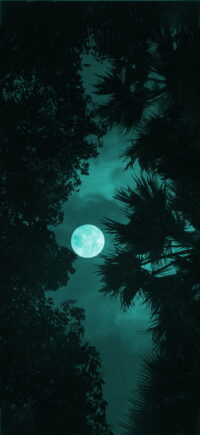 Moon Wallpaper 2