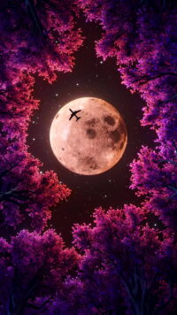 Moon Wallpaper 10