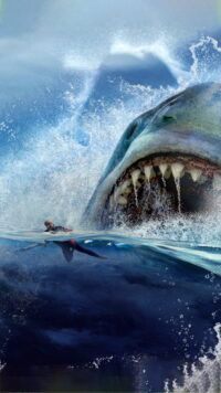 Shark Wallpaper 2