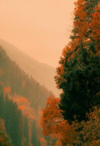1398x2034 Wallpaper 4