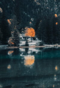 1398x2034 Wallpaper 2