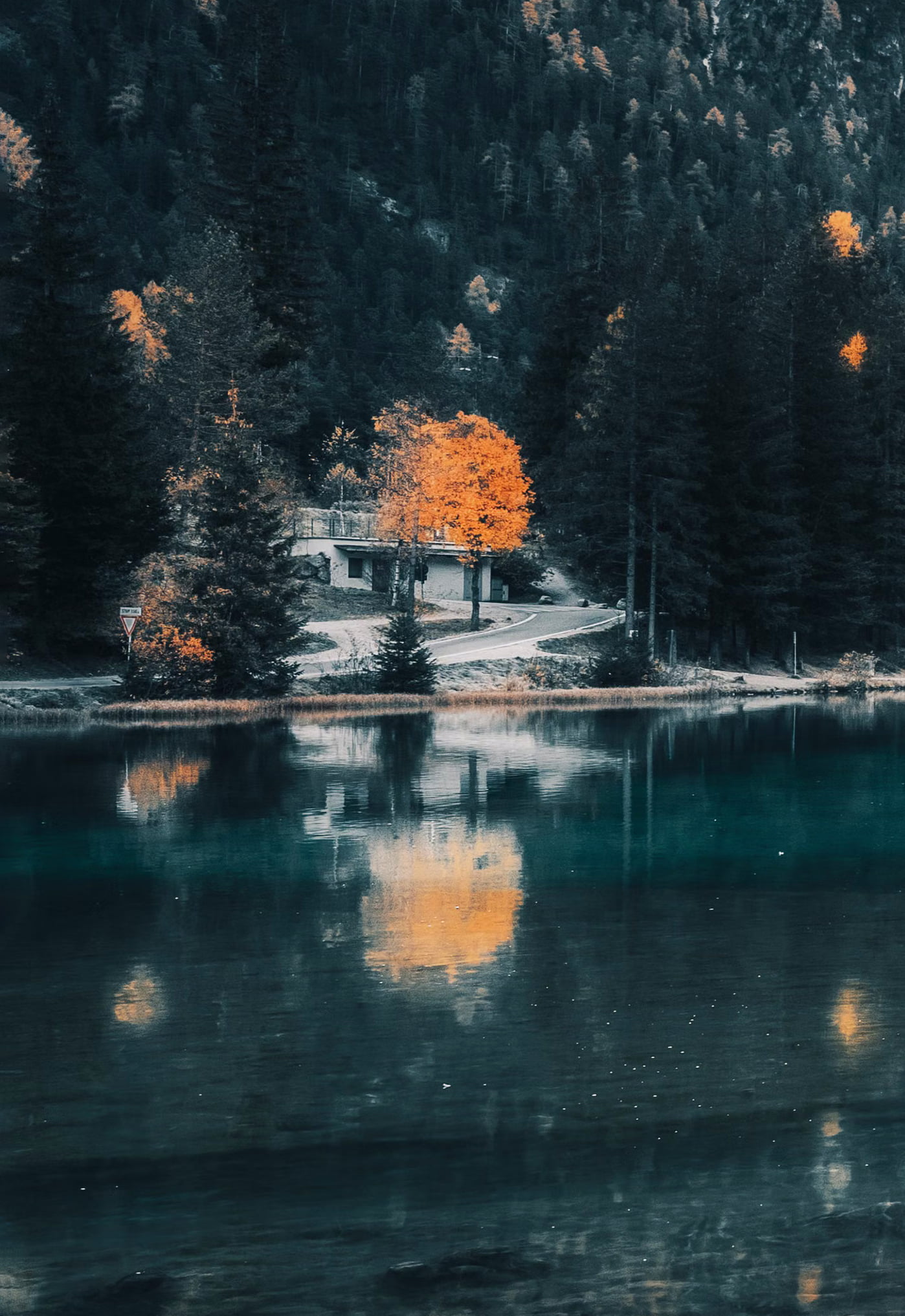 1398x2034 Wallpaper 1 1398x2034 Wallpaper 1