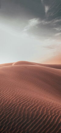 Desert Wallpaper 2