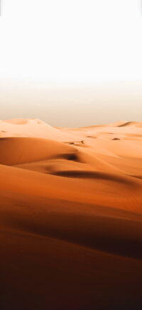 Desert Wallpaper 2