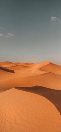 Desert Wallpaper 2