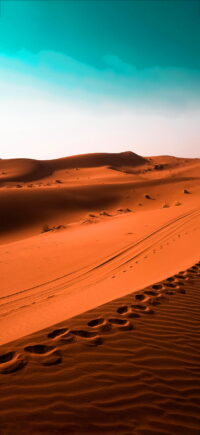 Desert Wallpaper 2