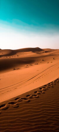 Desert Wallpaper 3