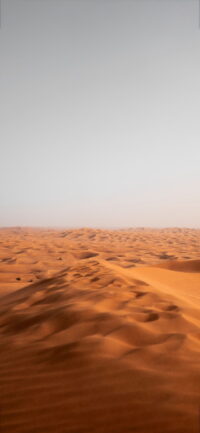Desert Wallpaper 2
