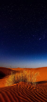 Desert Wallpaper 3