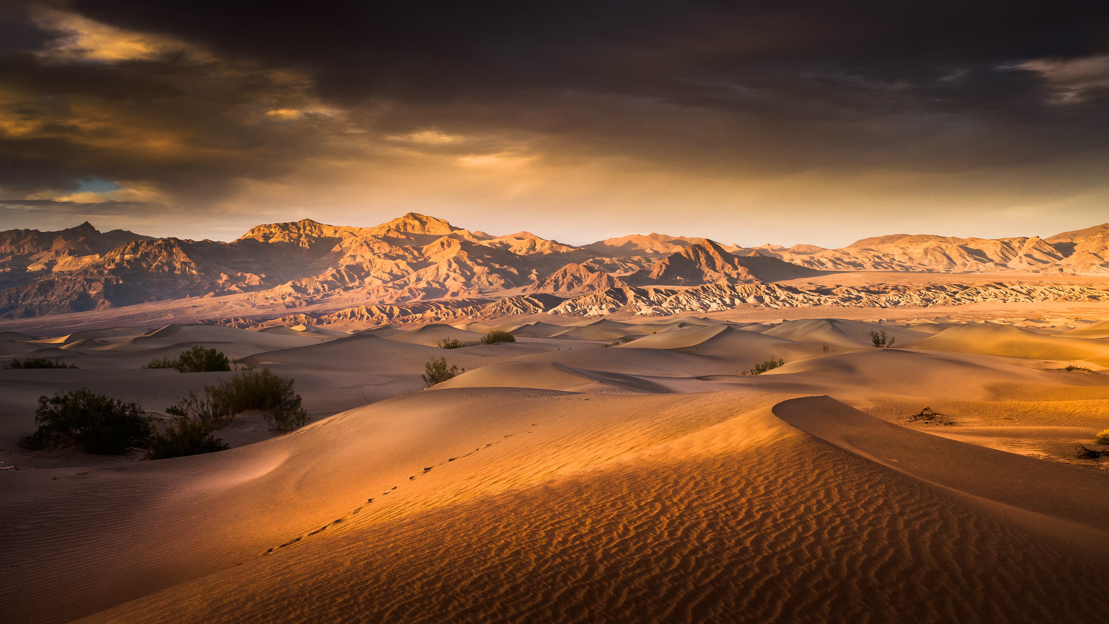 Desert Wallpaper 1 Desert Wallpaper 1