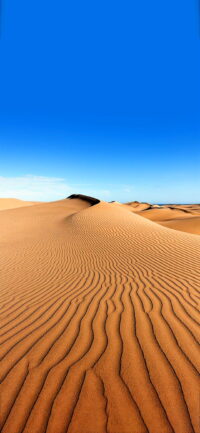 Desert Wallpaper 2