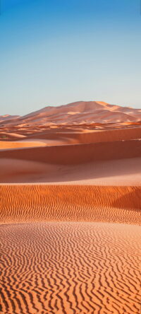 Desert Wallpaper 1