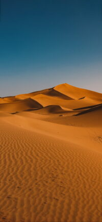 Desert Wallpaper 4