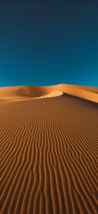 Desert Wallpaper 3