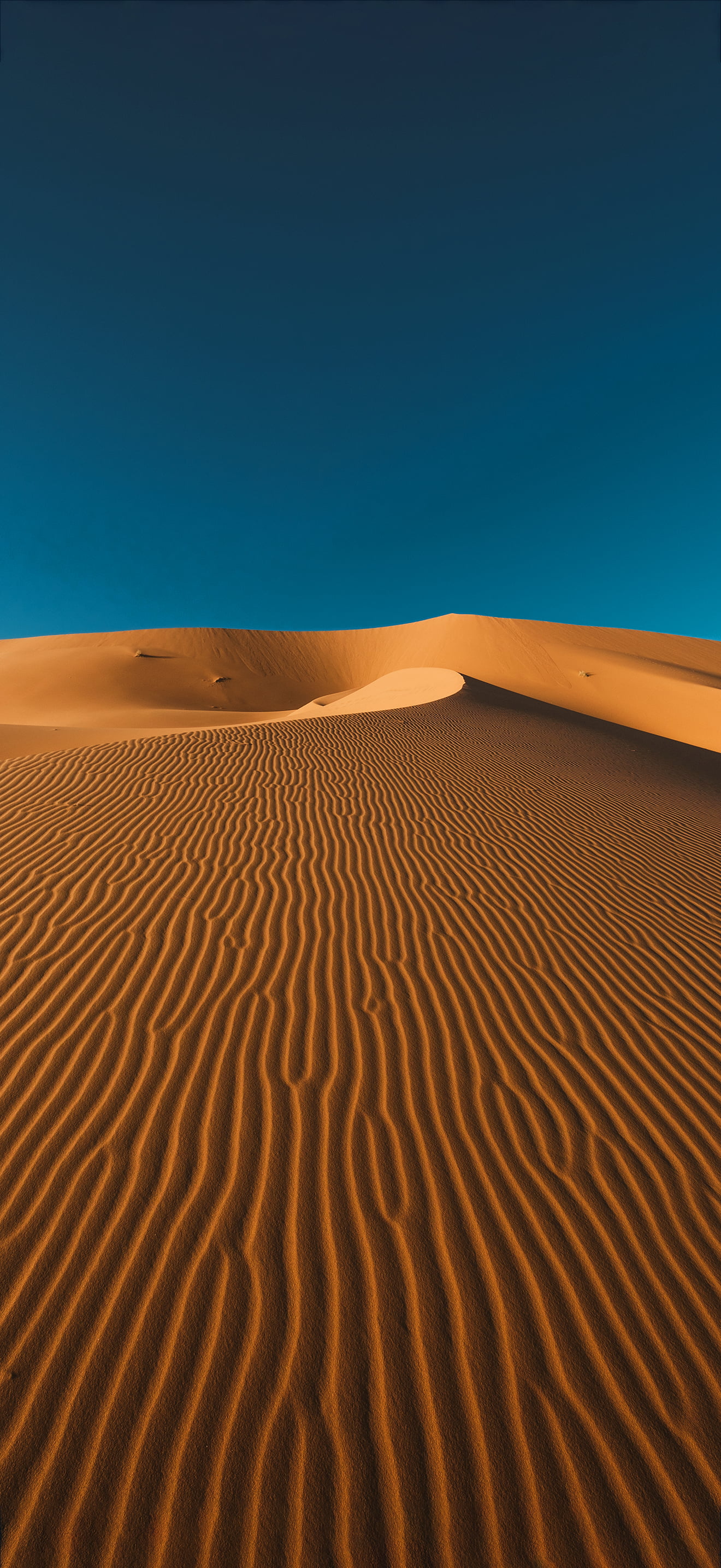 Desert Wallpaper 1 Desert Wallpaper 1