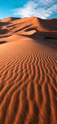 Desert Wallpaper 2