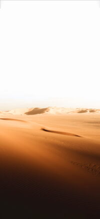 Desert Wallpaper 3