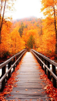 Fall Wallpaper 6
