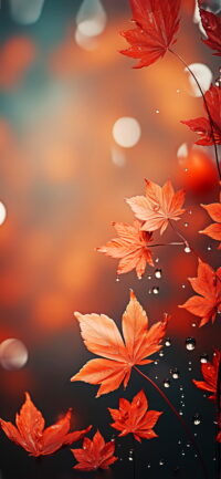 Fall Wallpaper 5