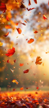 Fall Wallpaper 3