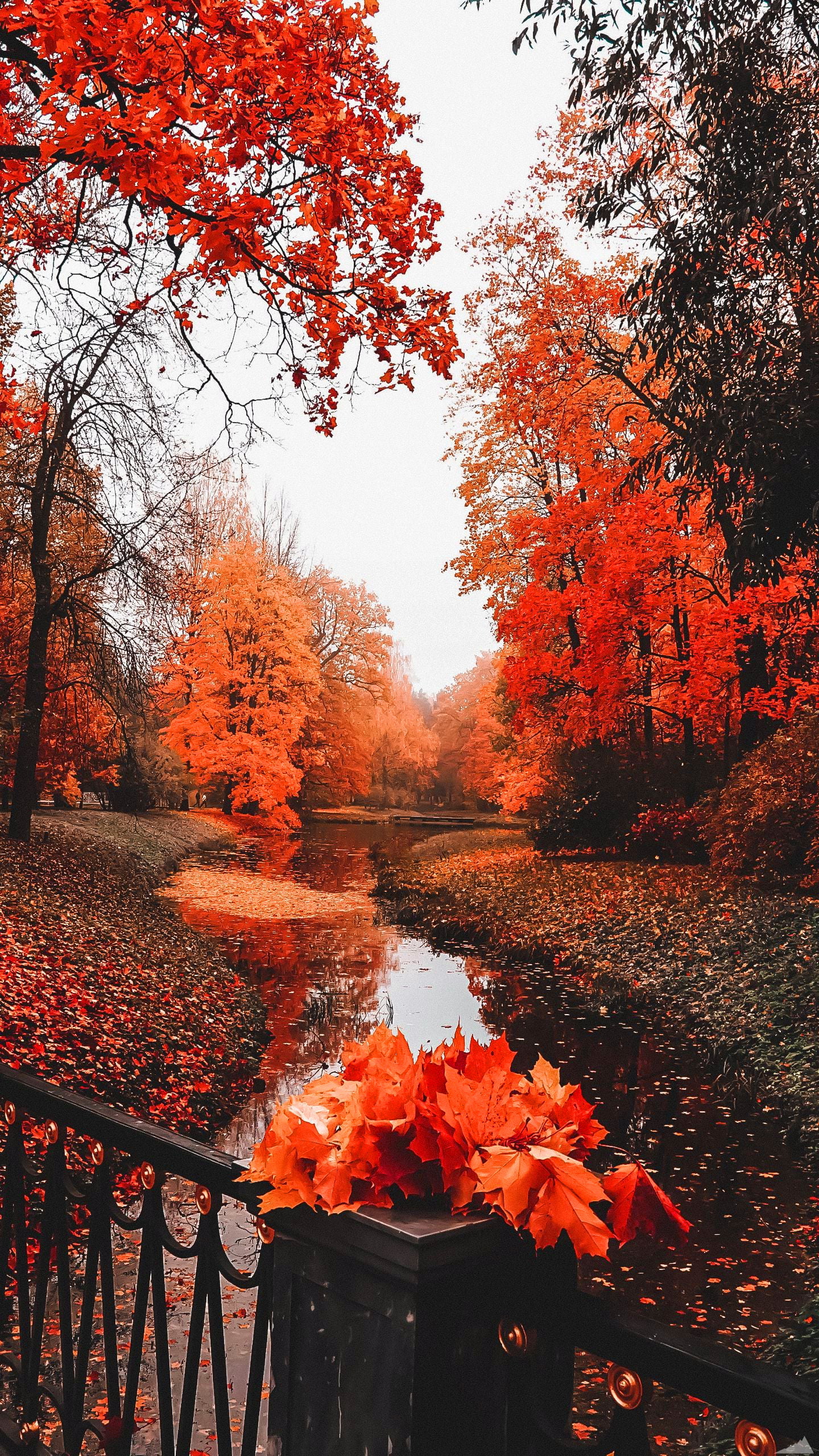 Fall Wallpaper 1