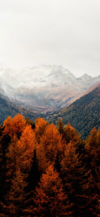 Fall Wallpaper 10