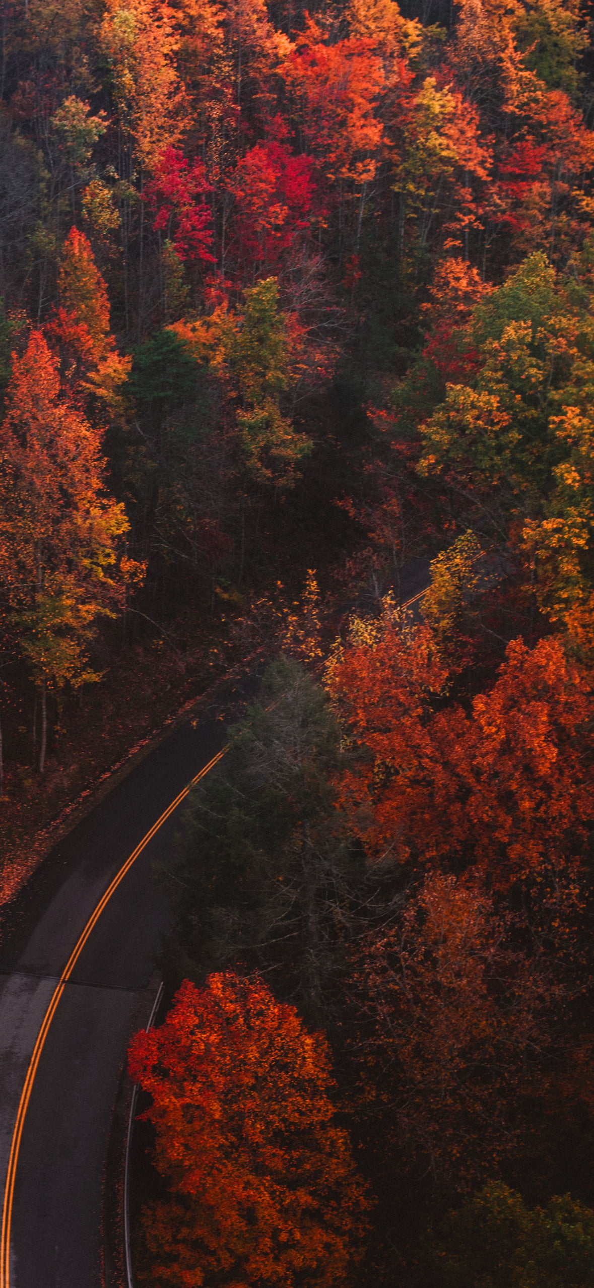 Fall Wallpaper 1
