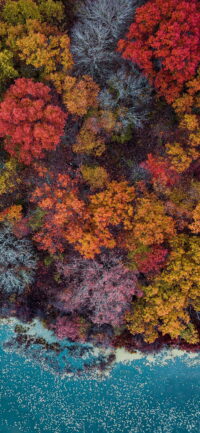 Fall Wallpaper 8