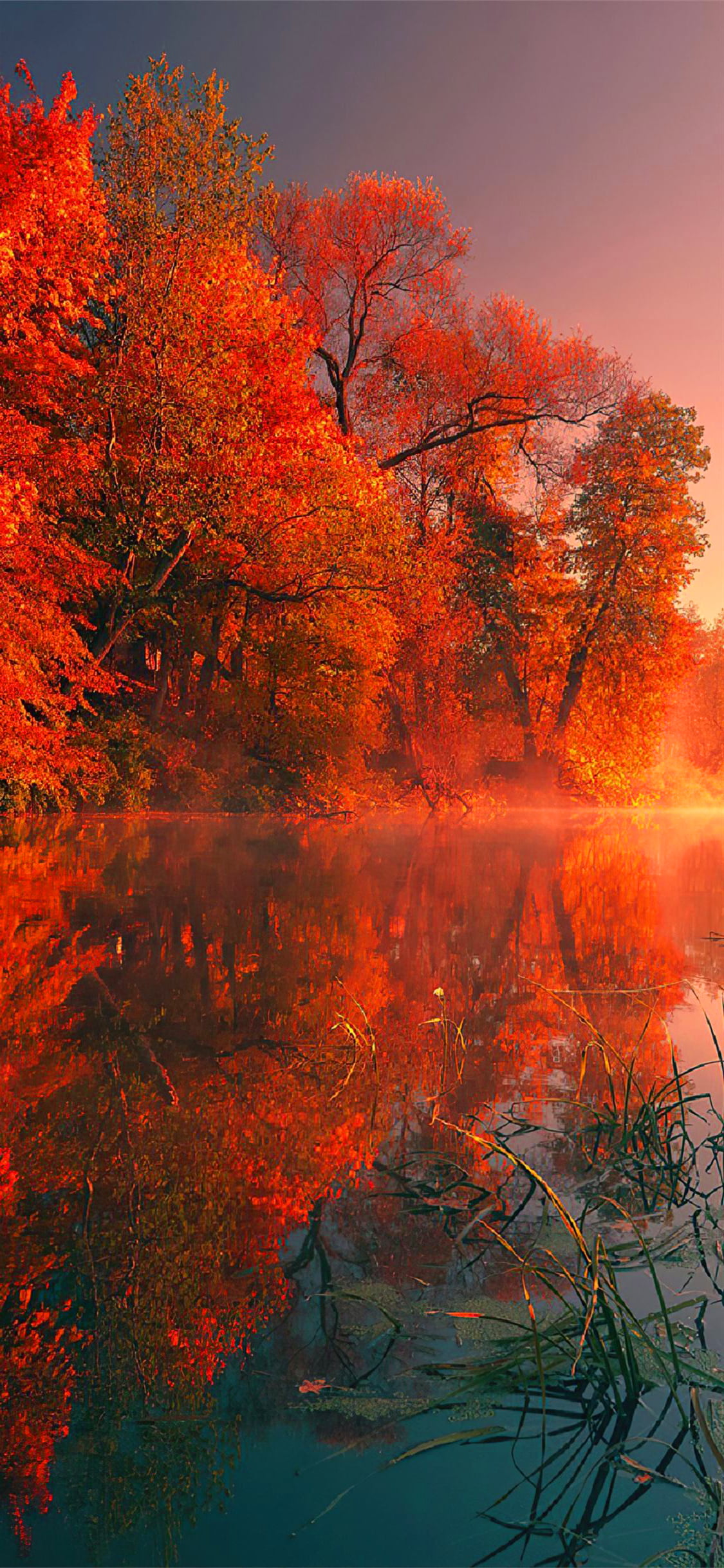Fall Wallpaper 1