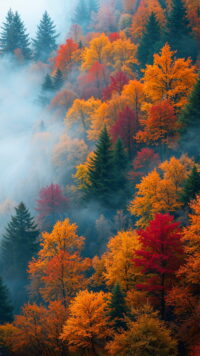 Fall Wallpaper 4